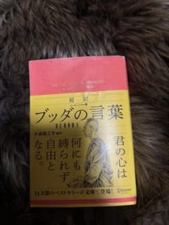 ブッダの言葉 小池龍之介 編のサムネイル