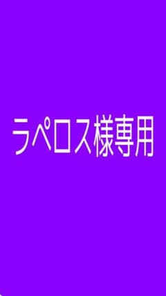 ラペロス様専用　DAYSのサムネイル