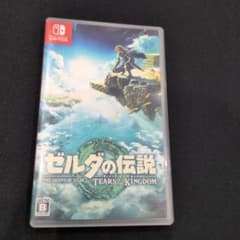 젤다의 전설 티어즈 오브 더 킹덤 Switch