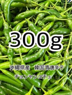 沖縄県産韓国青唐辛子 チョンヤンコチュ 300g - メルカリ