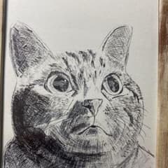 猫のペン画(額縁なし)のサムネイル