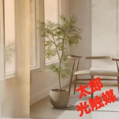 光触媒　人工観葉植物　ウォールグリーン　フェイクグリーン　エバーフレッシュ1.0 光触媒 人工観葉植物 ウォールグリーン フェイクグリーン