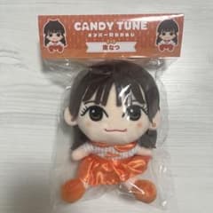 南なつ ぬいぐるみ かわぬい CANDY TUNE - メルカリ