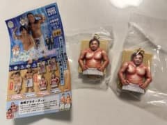 体格ブラザーズ ビックボディーコレクション 平子さん キーホルダーのサムネイル