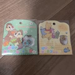 디즈니 칩과 데일 쿠마노 푸씨 안녕 씰 플레이크