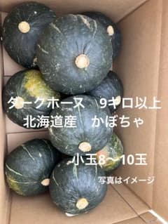 かぼちゃ 箱込み約9キロのサムネイル