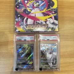 キ*ラ様 メガシンフォニア 新品未開封品 ナットレイ AR アヤシシ CHR P キ*ラ様 メガシンフォニア 新品未開封品 ナットレイ AR アヤシシ CHR P