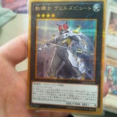 励輝士ヴェルズビュートのサムネイル