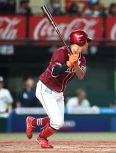 MLB MAPLE LSY PRIME 硬式バット 渡邉佳明選手(実使用）のサムネイル