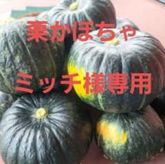 栗かぼちゃのサムネイル
