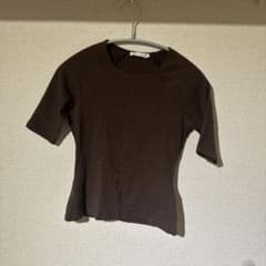 ZARA ブラウン 半袖 Tシャツ Sのサムネイル