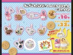 おぱんちゅうさぎとわんころ チワワのサムネイル