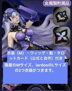 スタレ　ブラックスワン　フルセット　小道具付き　猫屋+lardoo２着入り スタレ ブラックスワン フルセット 小道具付き Mサイズ+Lサイズ - メルカリ