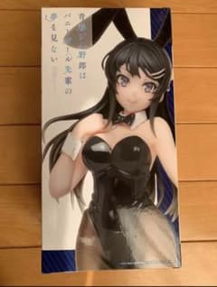 青春ブタ野郎はバニーガール先輩の夢を見ない　桜島麻衣のサムネイル
