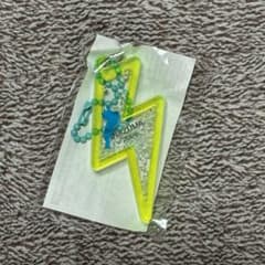FEST.INAZUMA 2026 フェストイナズマ　 琵琶湖キーホルダー　黄色のサムネイル