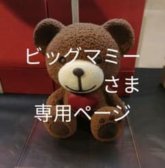 ビッグマミーさま　専用ページですのサムネイル
