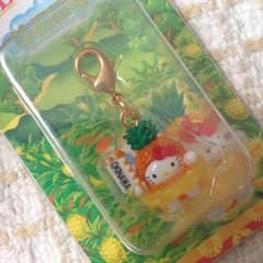 ＊ご当地＊キティちゃん＊のサムネイル