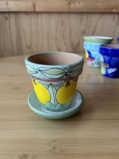ニーノパルッカ新品未使用　植木鉢　小のサムネイル