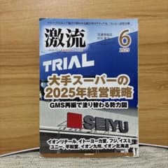 激流 2025年6月号のサムネイル