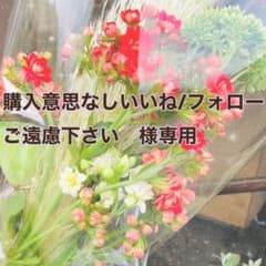 【お値下げ中】ウールタム　DARUMA マリーゴールド　一個　ダークグレー二個のサムネイル