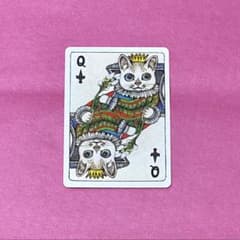 히구치 유코 circus 트럼프 코하루 짱 Queen 잎 고양이