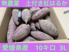 【無農薬　紅はるか】土付き　10Kg　3Lサイズ　261012のサムネイル