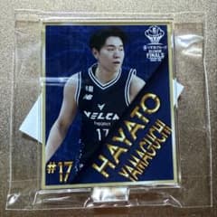 長崎ヴェルカ 山口颯斗 アクリルスタンド Bリーグ ファイナル - メルカリ
