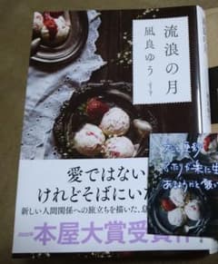 流浪の月　文庫のサムネイル