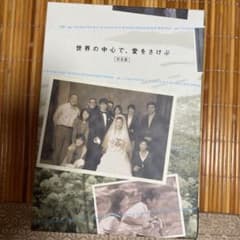 世界の中心で,愛をさけぶ 完全版 DVD-BOX〈6枚組〉のサムネイル