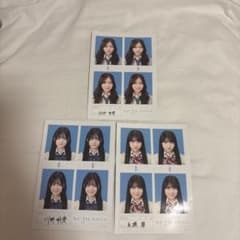 セジュ証明写真田仲埜愛・永瀬碧・川野明愛3点セットのサムネイル