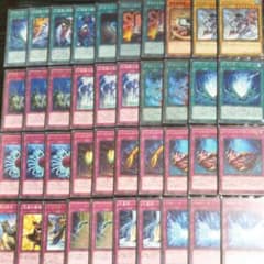 遊戯王　デッキ　幻煌龍バージェストマのサムネイル
