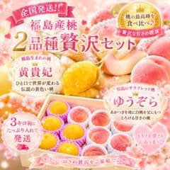 【全国発送】福島産 桃の最高峰！贅沢2品種食べ比べセット 3kg箱★極上の甘さのサムネイル