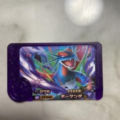 ポケモンフレンダ第5弾 ボーマンダのサムネイル