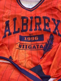 アルビレックス新潟 限定ホッケーシャツⅹ2のサムネイル