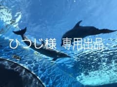 ひつじ様専用出品のサムネイル