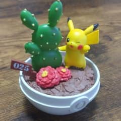 ポケットボタニカル ピカチュウのサムネイル