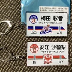Ｗリーグ　京王電鉄コラボ駅名看板シークレットキーホルダーのサムネイル