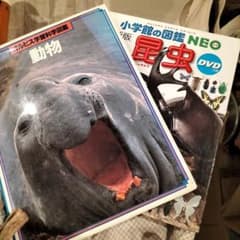 専用!!図鑑１０−２０冊のサムネイル