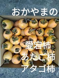 おかやまの愛宕柿 8キロ箱入り 小 渋柿 50〜70個 干し柿用のサムネイル