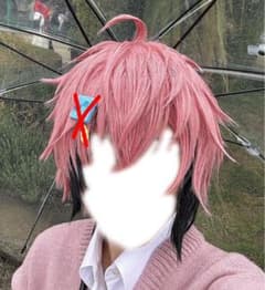 にじさんじ 赤城ウェン ウィッグ コスプレ - メルカリ