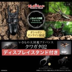 いきもの大図鑑アドバンスクワガタ02 ディスプレイスタンドセット
