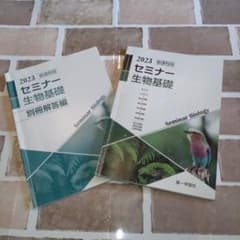 2023 セミナー生物基礎 第一学習社のサムネイル