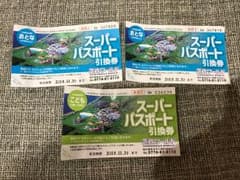 芝政ワールド スーパーパスポートのサムネイル