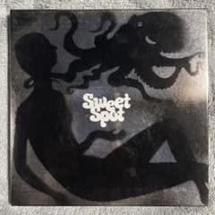 ゆらゆら帝国 / Sweet Spot 紙ジャケ - メルカリ