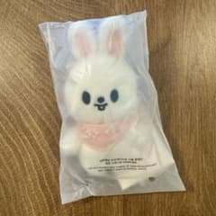 SKZOO 10cm PLUSH 5'CLOCK リービット Leebit - メルカリ