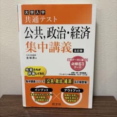 大学入学共通テスト 公共・政治・経済 集中講義 5版のサムネイル