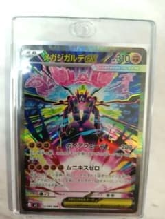 ＊メガジガルデ SAR＊