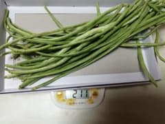 十六ささげ　約２００g+約２００gのサムネイル