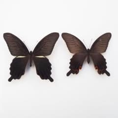 m70755578604_1.jpg?1701480983