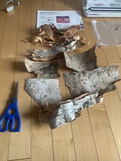 白樺の皮　ガンビ　キャンプギア　薪　薪ストーブのサムネイル